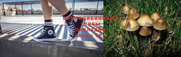 бутират Бородино